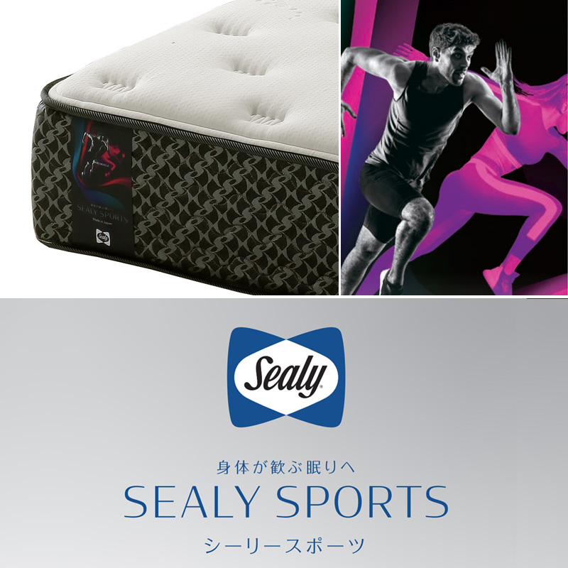 ベッド組立についてセミダブルマットレス シーリースポーツ スピードマッスル Sealy